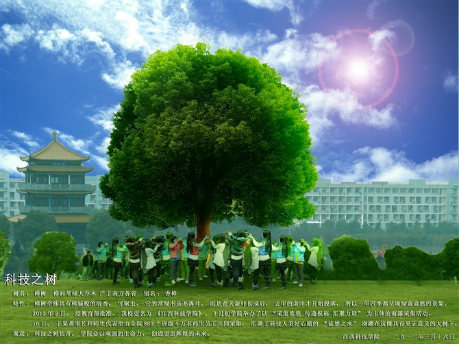 科技之树